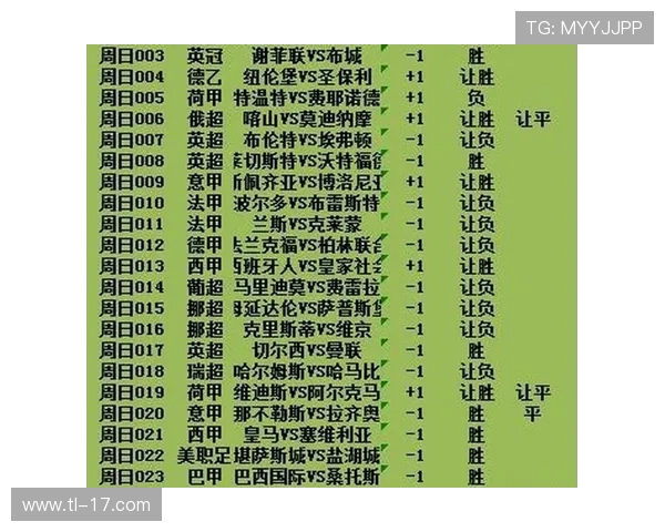 英超英冠球队出售：英超与英冠球队的出售市场分析