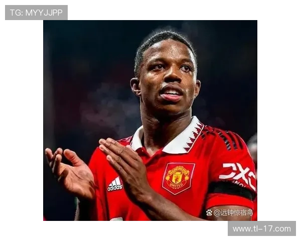 英超球队的球迷职业身份探索