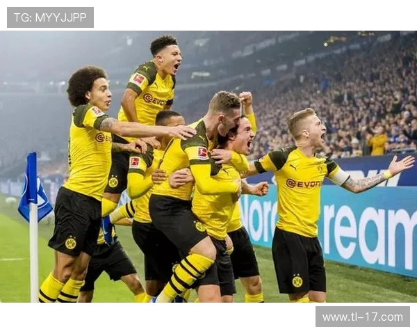 成绩起伏最大的德甲球队是哪支？数据统计分析