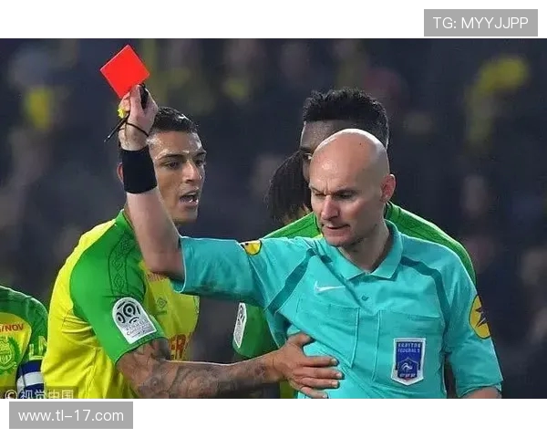 法甲裁判执法标准统一性与判罚争议探讨